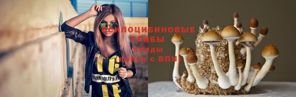 МДМА Богданович
