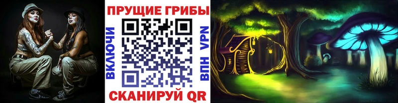 Купить закладки  Арск  Галлюциногенные грибы Psilocybe 